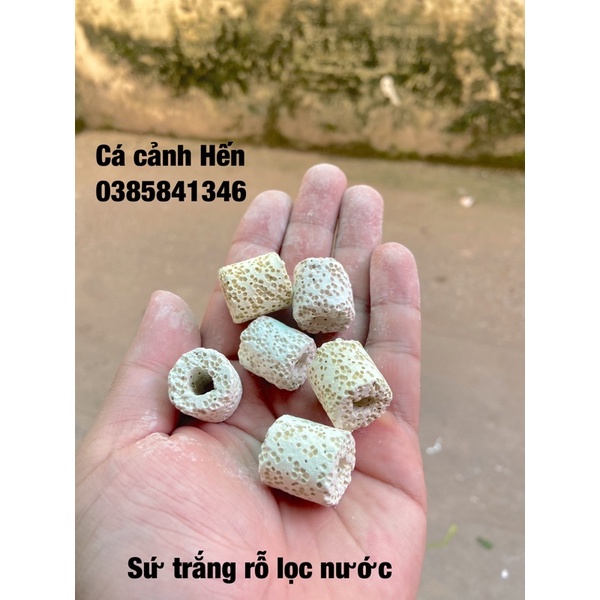 Sứ lọc trắng 100 gram : Vật liệu lọc nước cho hồ cá , hồ thuỷ sinh