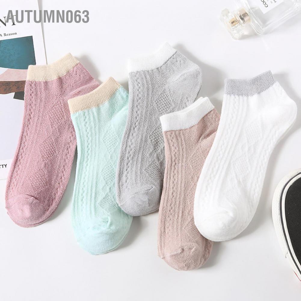 Set 5 đôi vớ cổ thấp thoáng khí mềm mại họa tiết hoạt hình dễ thương cho nữ