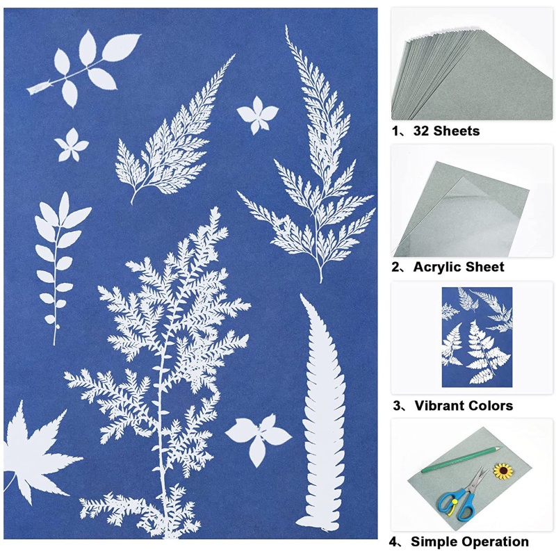 Sa Giấy In Tự Nhiên Kèm Đệm Dùng Làm Đồ Thủ Công Diy