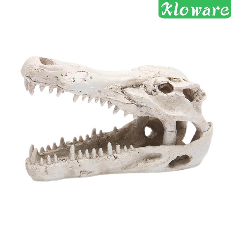 Tượng Cá Sấu Trốn Tìm Trong Bể Nuôi Bò Sát