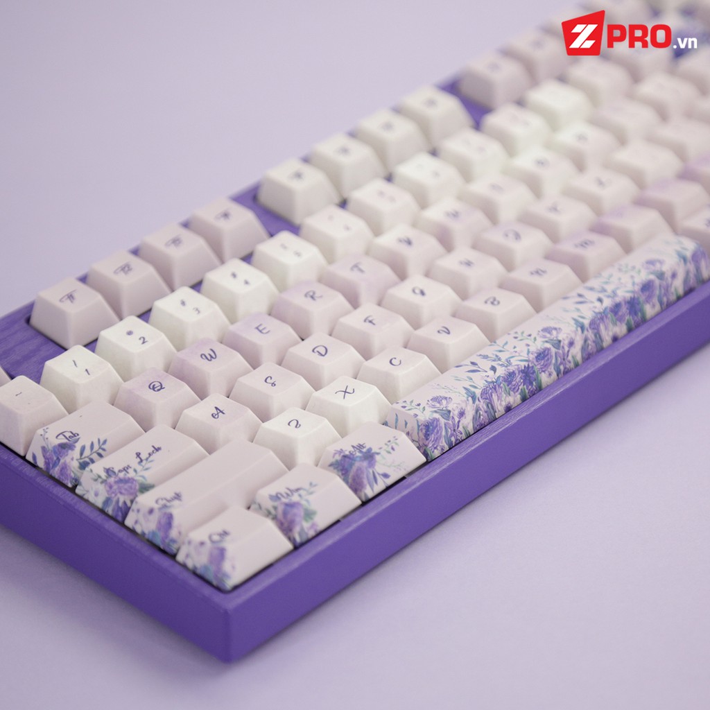 Bộ Keycap PBT Hoa Cát Tường 126 Phím