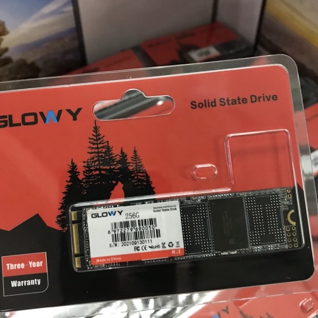 Ổ cứng SSD M2 và MSata 256GB/128GB Suneast | Gloway Hàng Chính Hãng - Bảo Hành 36 Tháng !!!