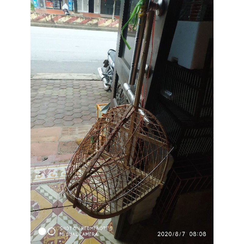 Lồng Bẫy chào mào, choè than