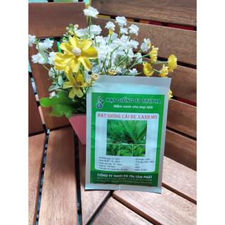 Hạt giống Cải bẹ xanh mỡ nảy mầm cực chuẩn