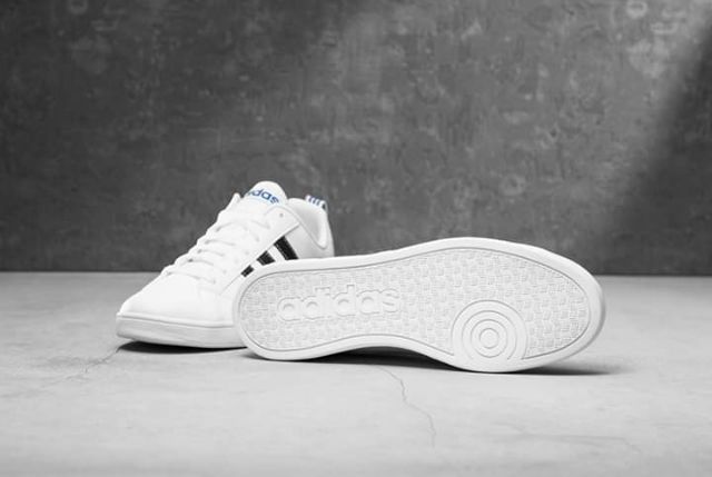 Giày Adidas hàng Nhật