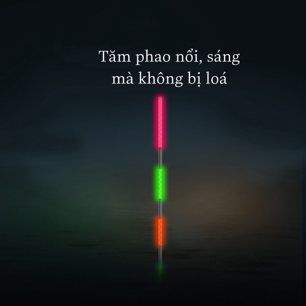 Phao Cỏ Lau Câu Đêm_ Phao Câu Ngày Đêm Cao Cấp