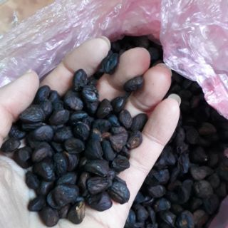 100g hạt dổi nếp loại 1.