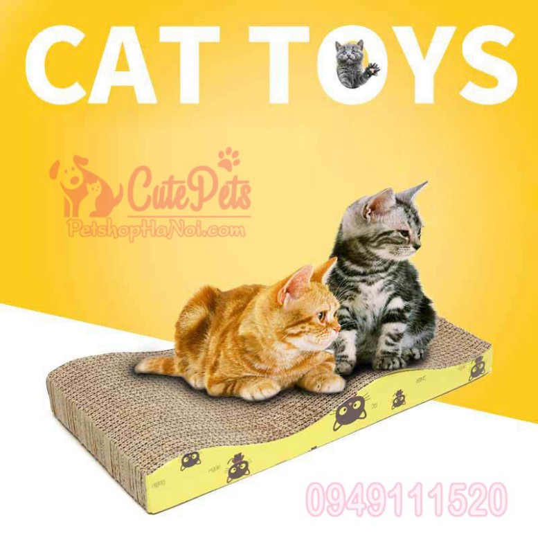 😼 Bàn cào móng cho mèo hình gợn sóng Tặng kèm catmint - CutePets Phụ kiện chó mèo Pet shop Hà Nội Hàng chính hãng