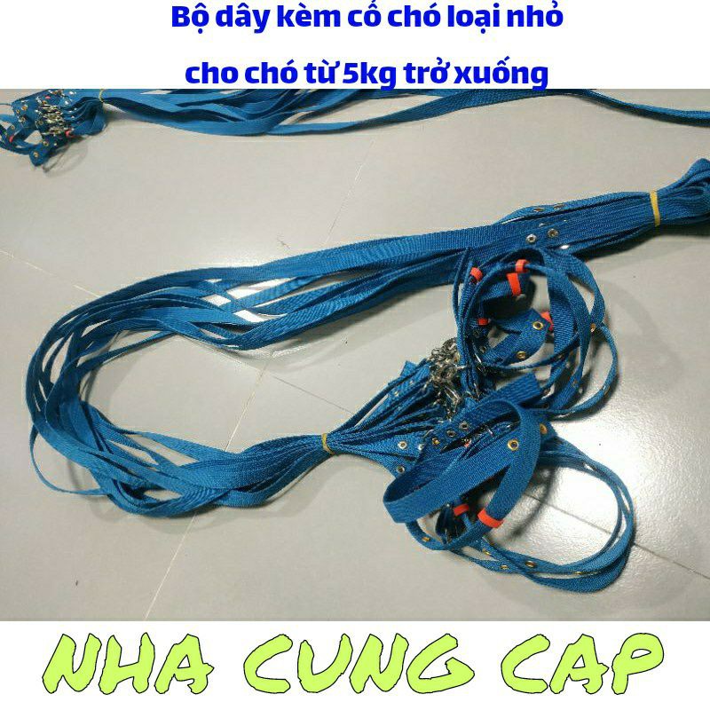 BỘ DÂY KÈM CỔ CHÓ LOẠI NHỎ CHO CHÓ TỪ 5KG TRỞ XUỐNG