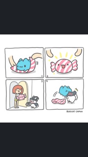GẤU BÔNG MÈO CAPOO ĐÁNG YÊU