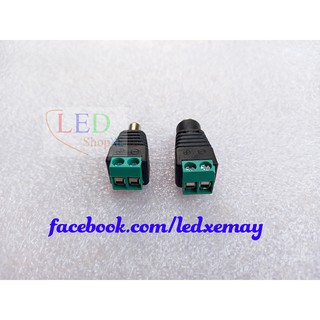 Jack DC đực - cái
