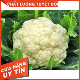 Hạt Giống Súp Lơ Trắng  F1 0.2gr