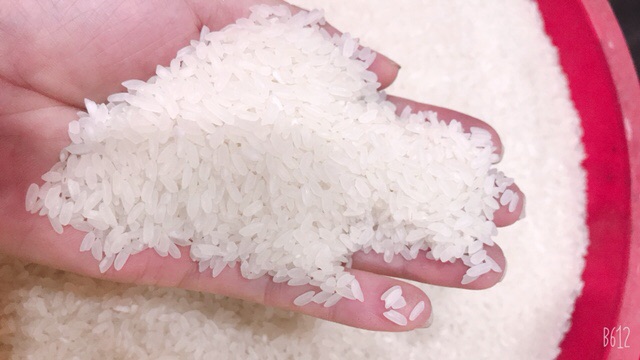 Gạo Thơm thượng hạng Nàng Hoa