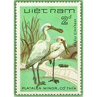 Tem sưu tập Việt Nam Chim đồng nước 1983