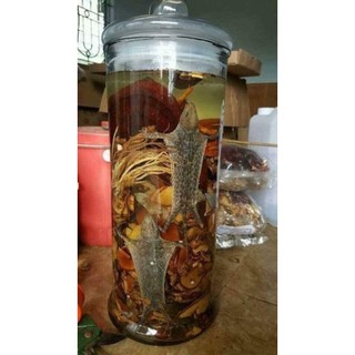 ⚡️ minh mạng thang 35 vị đặc biệt có 2 tắc kè-đồ ngâm rượu ⚡️
