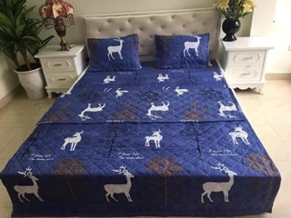 Bộ chăn ga gối poly ( đủ size )