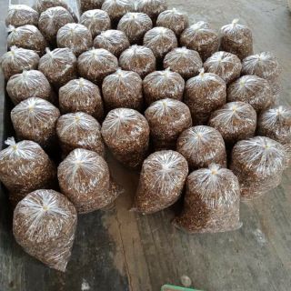 Xu xoa Quảng Ngãi 1kg