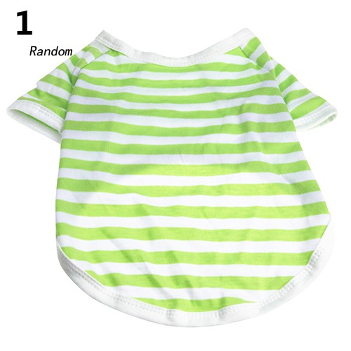 Áo thun mùa hè cho thú cưng