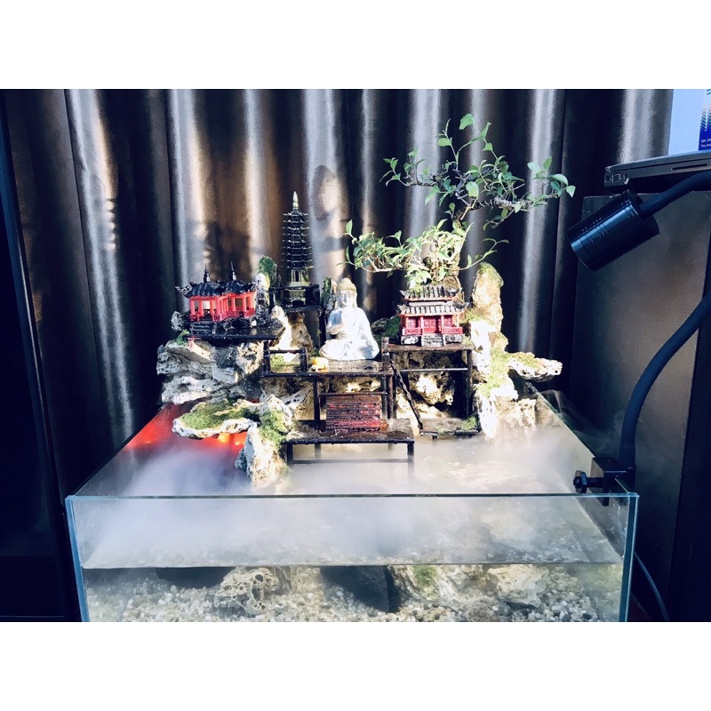 Hồ cá bán cạn mini 40cm - Phong cách Kelsey Mặt Trời Vàng