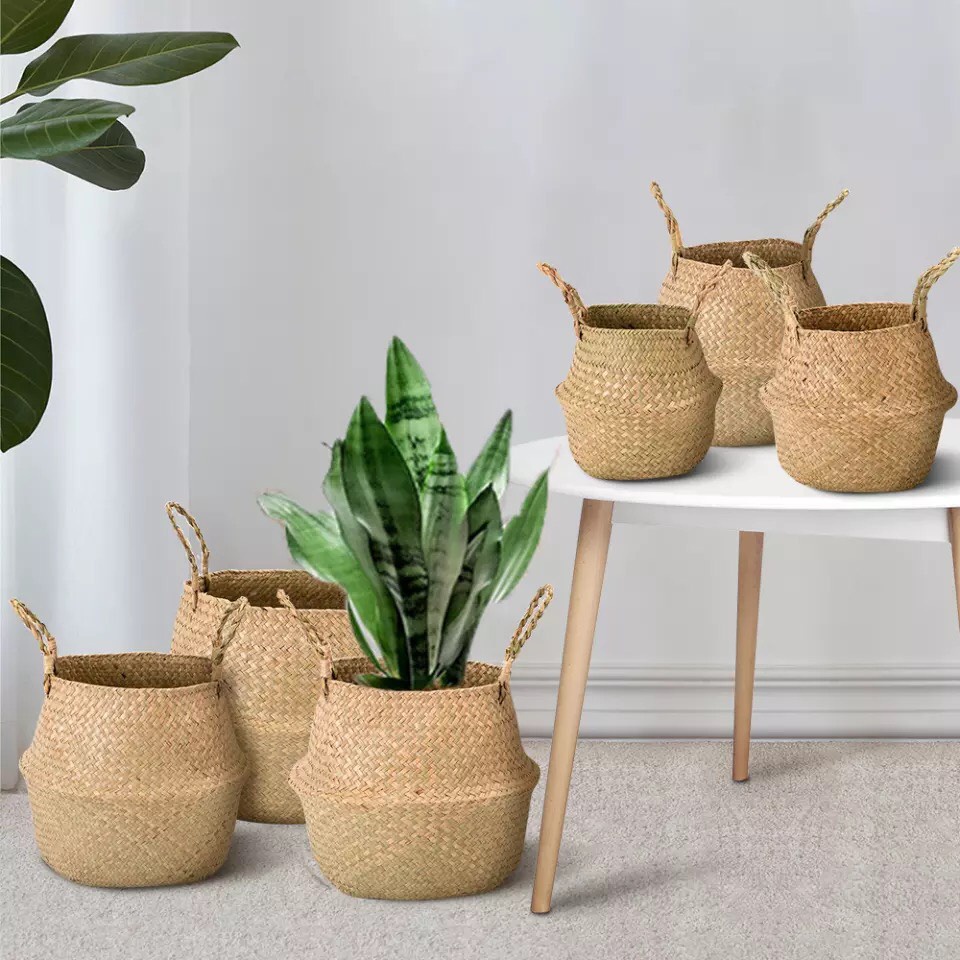 Giỏ cói trồng cây Tre Làng nguyên liệu cói tự nhiên / Kích thước 20cm - 35cm