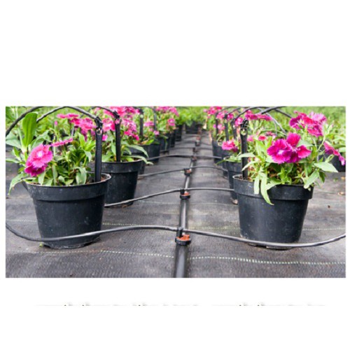 Đầu tưới nhỏ giọt gắn vừa chai nước ngọt giúp bạn làm hệ thống tưới nhỏ giọt hiệu quả tại nhà đơn giản KABA