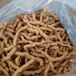Ba kích tím (180k/kg)