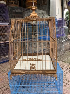 Lồng chào mào Huế kiểu thái