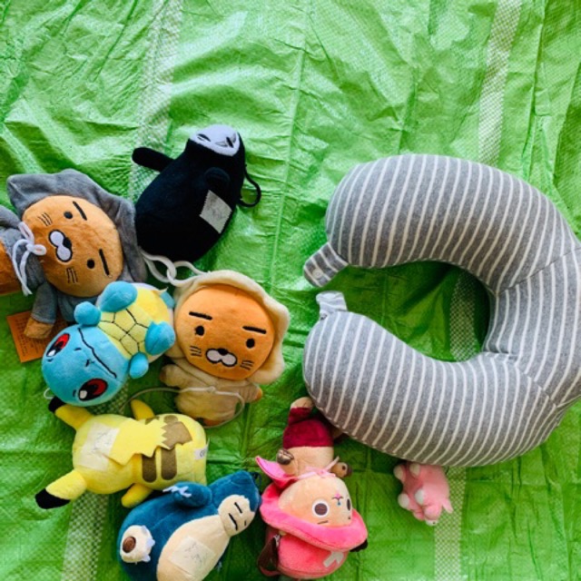 Gau bong rẻ.