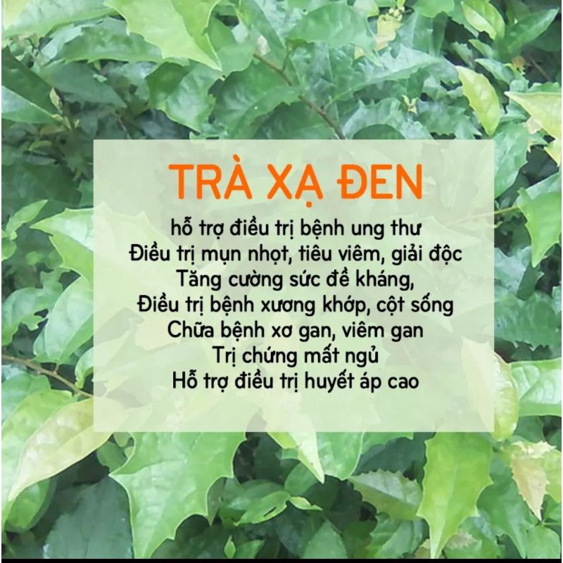 1kg Trà túi lọc xạ đen la hán quả Sadu - giúp thanh nhiệt, tiêu độc, mát gan hiệu quả