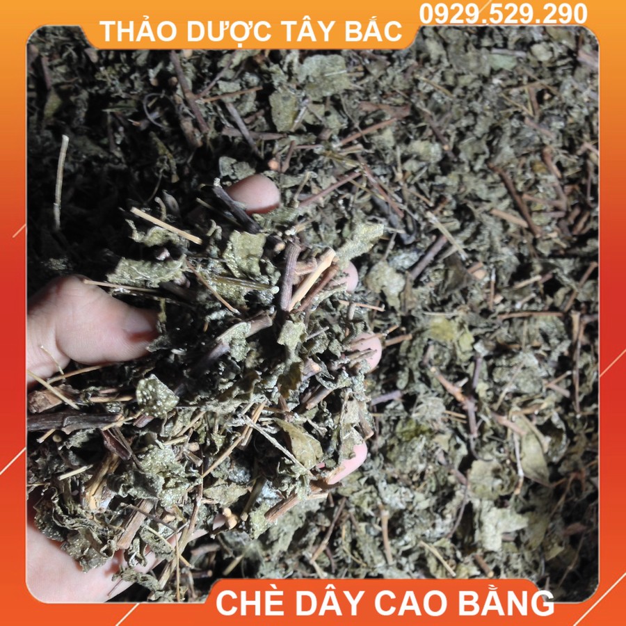 Chè Dây Cao Bằng Hỗ Trợ Điều Trị Viêm Loét Dạ Dày