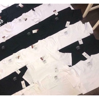 Áo Phông Pull Bear