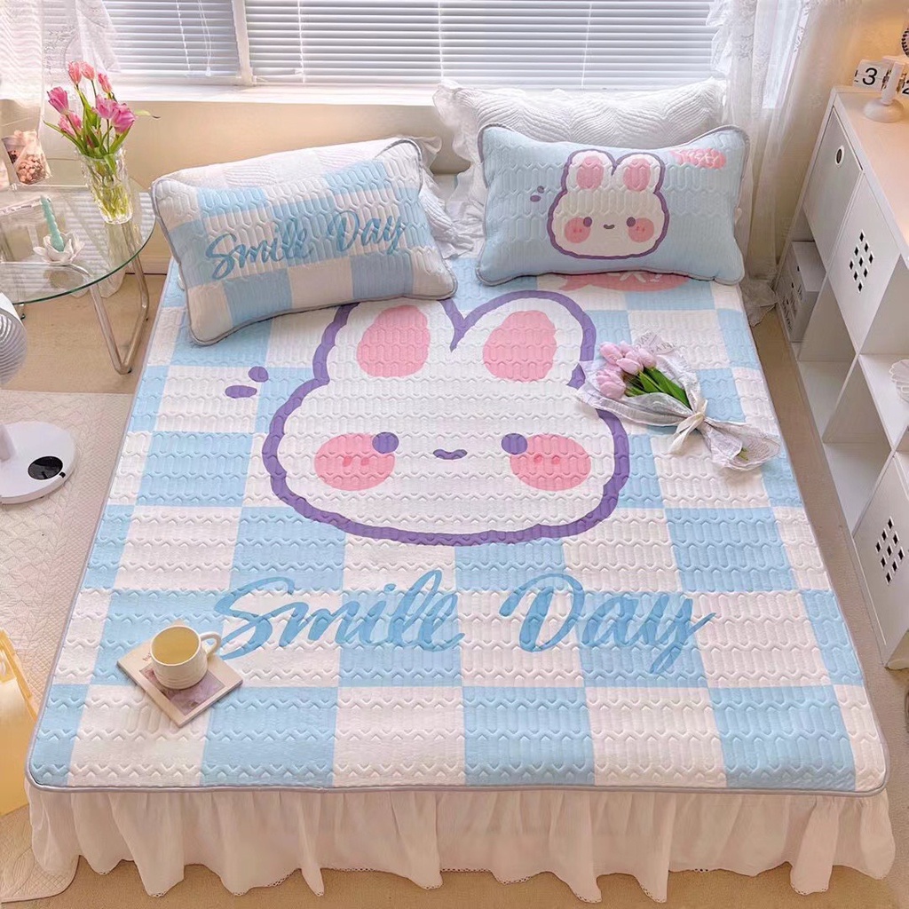 Chiếu Điều Hòa 5D, Chiếu Điều Hòa Cao Su Non HIN BEDDING Cao Cấp Hàng Loại 1