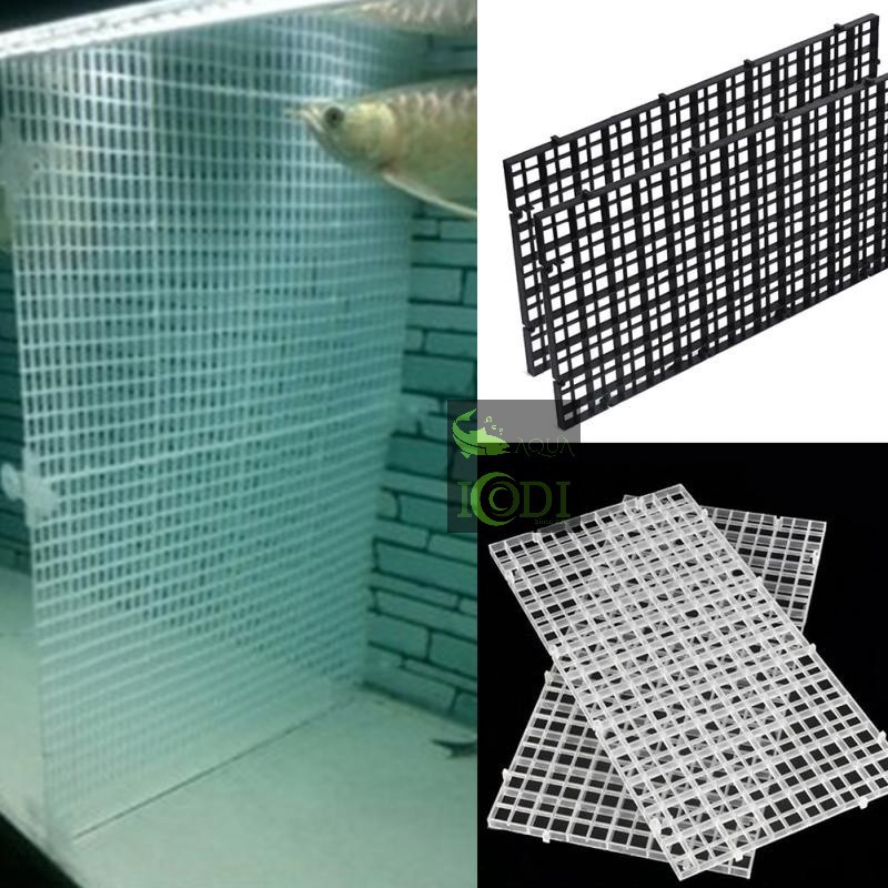 Tấm ngăn bể cá cảnh - bể thủy sinh
