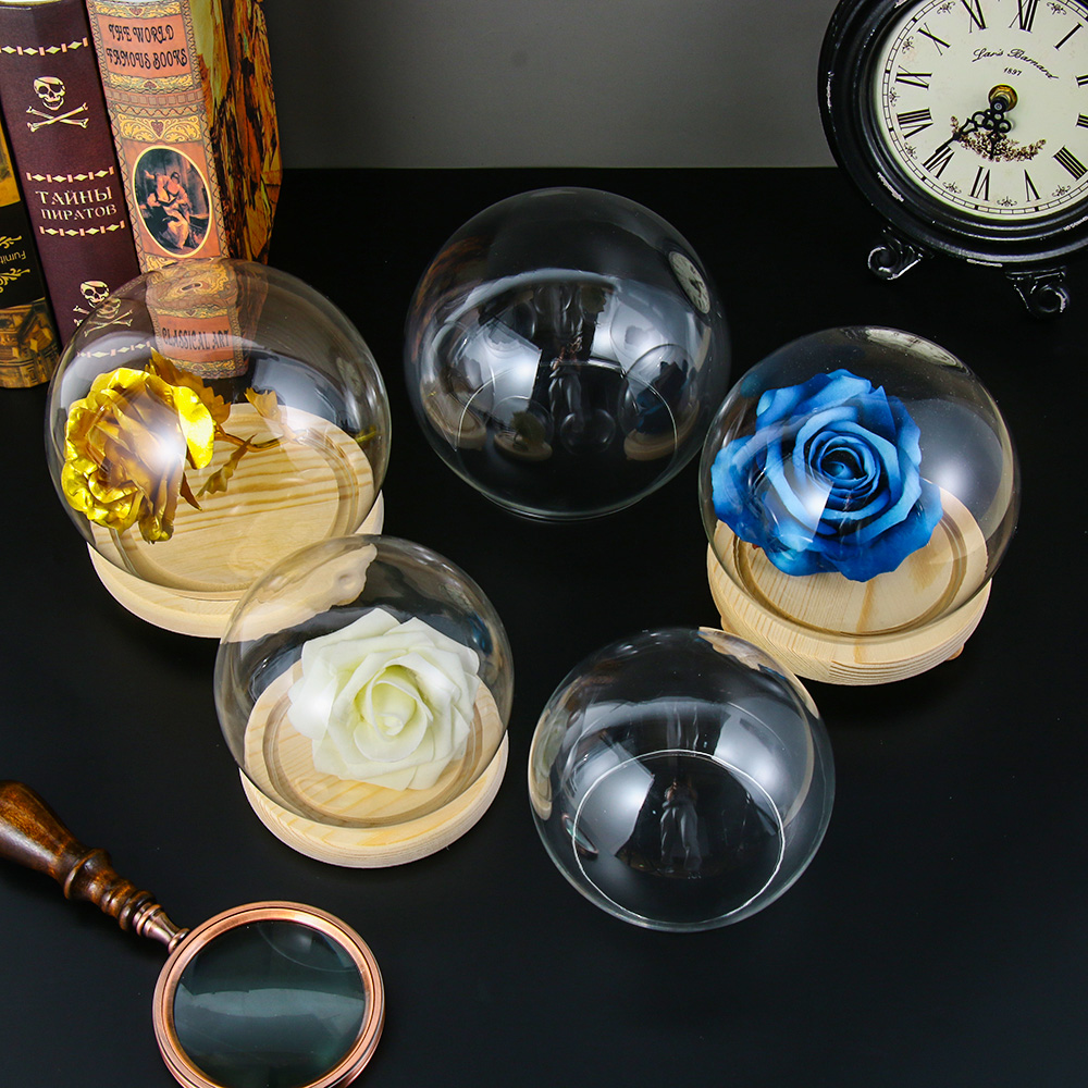 Lọ Thủy Tinh Trồng Cây Thủy Tinh Trong Suốt Đế Gỗ Hình Cầu Có Đèn Trưng Bày