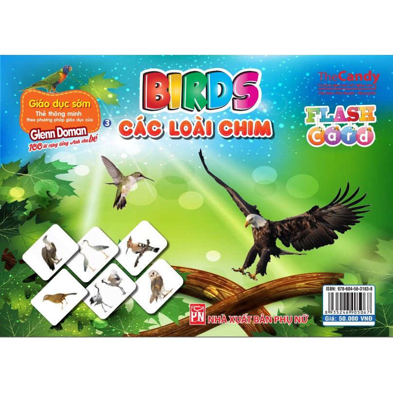 Flashcard - Thẻ Dạy Trẻ Theo Phương Pháp Glenn Doman - Các Loài Chim (Bids)