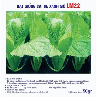Hạt giống cải xanh mỡ LM22 (cải đắng, cải ta)