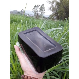 Tinh bột thạch đen ( Sương sáo 130.000/1kg)