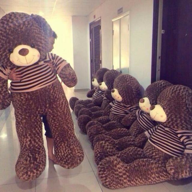 Gấu teddy 1m4
