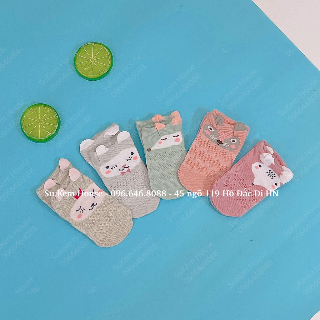 Set 5 đôi tất lưới Tiny cho bé