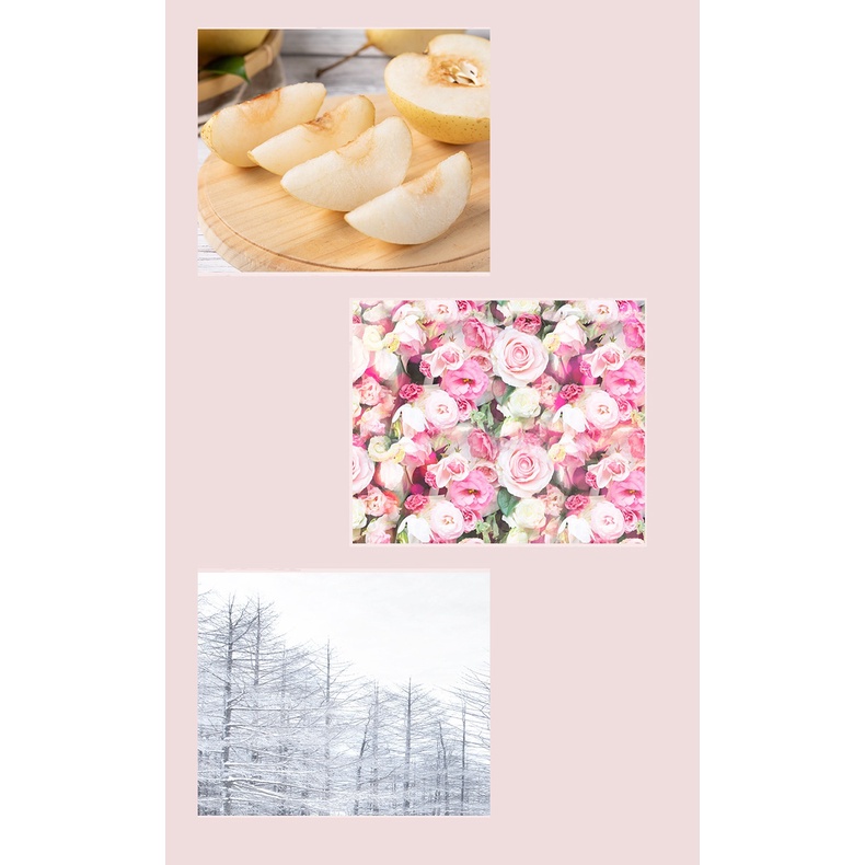 Nước Hoa Nữ Hoa Hồng PLOWER OF STORY PINK ROSE 50ml Cao Cấp Chính Hãng Thơm Lâu 24h Hương Thơm Nhẹ Nhàng Lâu Dài Hấp Dẫn