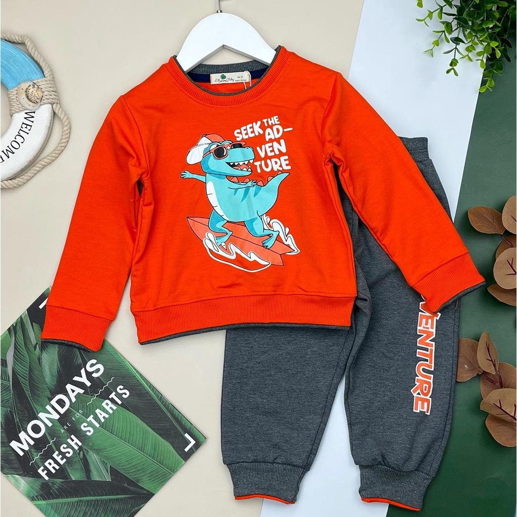 Bộ quần áo LITIBABY, vải nỉ dá cá. đanh chất, bền, đẹp, in chú khủng long Size 2/8 tuổi. Mã BDC02