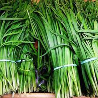 Hạt giống hẹ ta(10G)