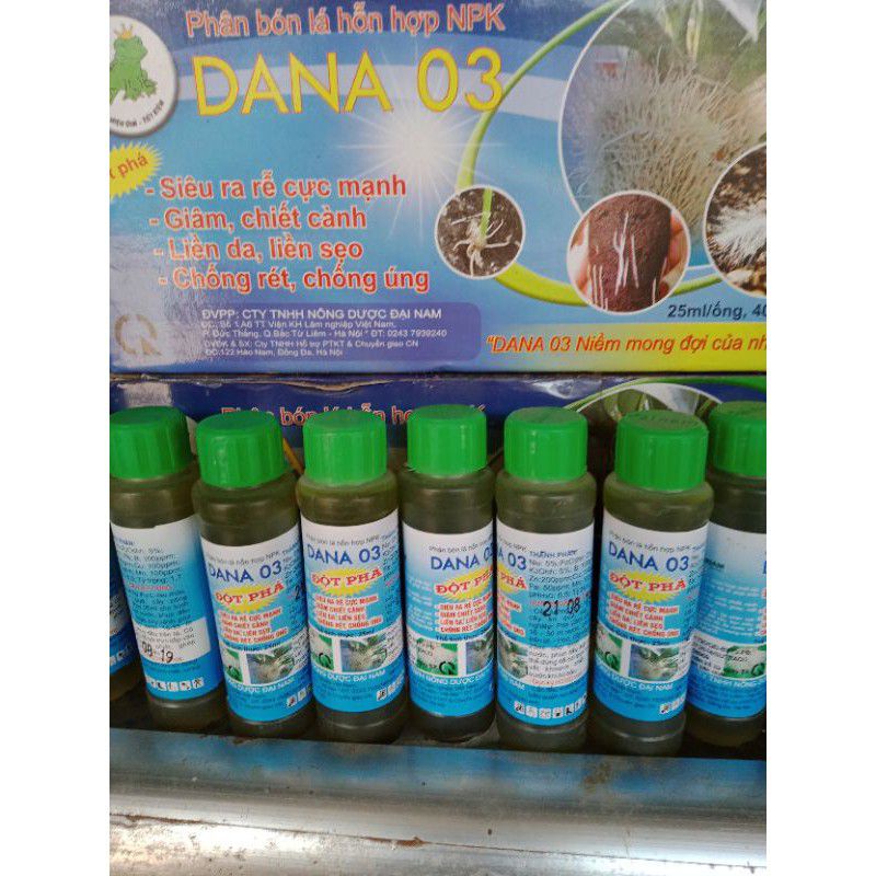 Thuốc siêu ra rễ, giâm chiết cành, chống vàng lá chết cây con