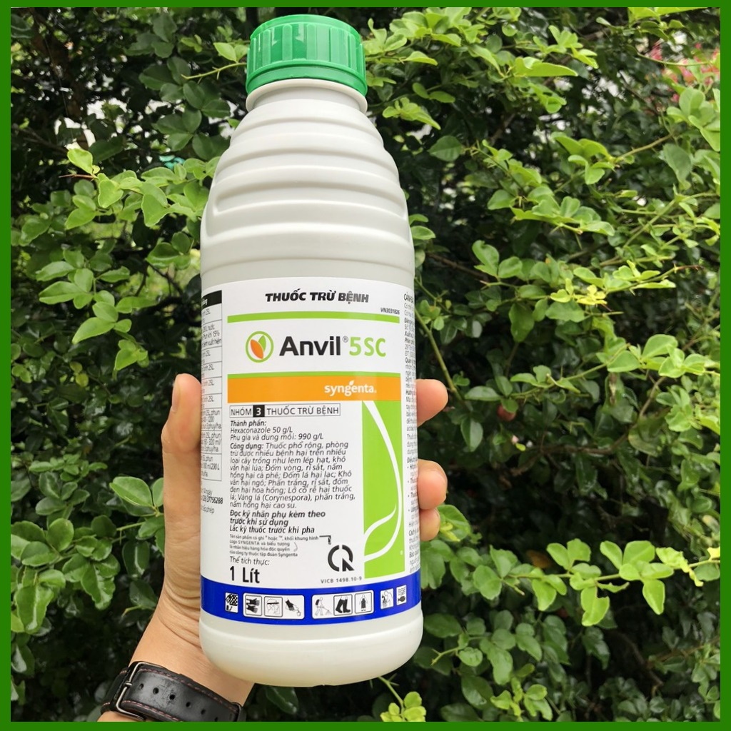 Thuốc trừ bệnh Anvil 5SC 1 lít hãng Syngenta, chuyên Thán Thư - Đốm Lá - Rỉ Sắt
