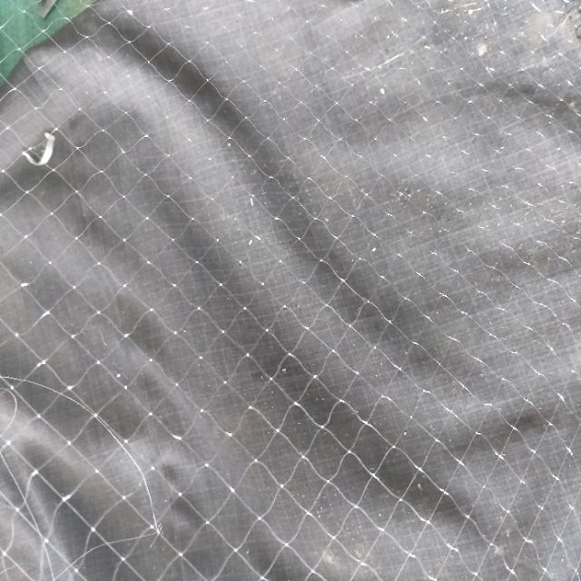 Lưới đánh cá 3 màn tép cao 60 cm dài 60m mắt lưới 1,8 cm bắt cá lồng tong,cá tép