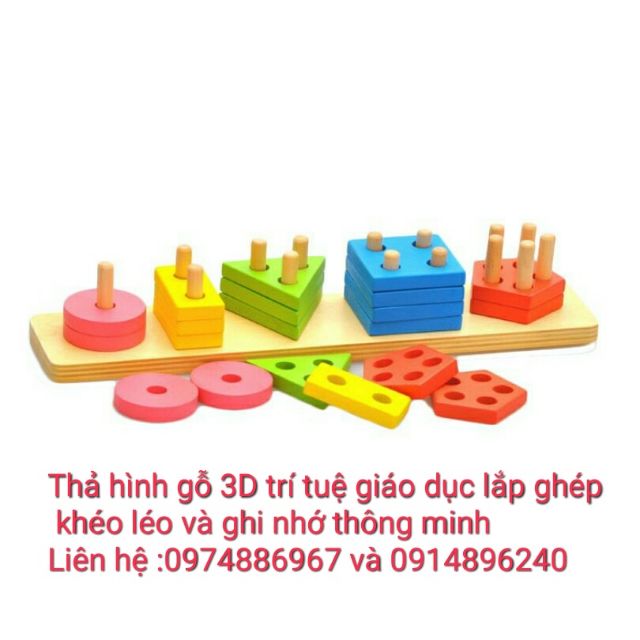 Đồ chơi thông minh_Thả hình gỗ 3D trí tuệ 5 ô khối cho bé