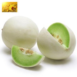 Hạt Giống Dưa Lê Bạch Ngọc Siêu Ngọt F1 (20 Hạt) - Ngọt Mát, Thơm Ngon, Bổ Dưỡng - MUA 3 TẶNG 1 CÙNG LOẠI