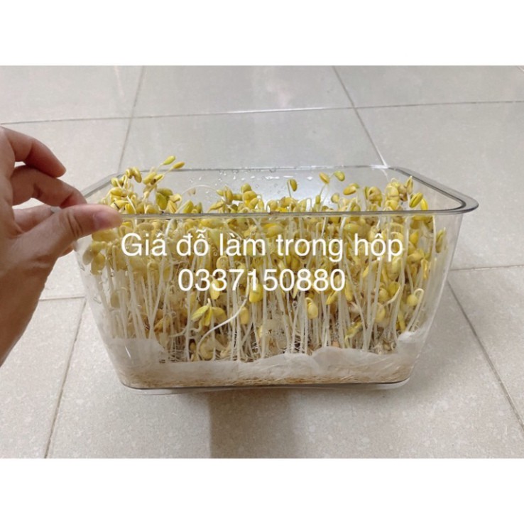 Hộp Nhựa TO Đựng Thực Phẩm Tủ Lạnh 2 Lớp Có Lỗ Thoát Nước Khóa Thoát Khí Dễ Dàng Bảo Quản Rau Củ shop KUMO