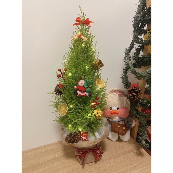 Cây tùng noel giáng sinh