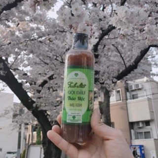 Dầu gội thảo dược mẹ ken